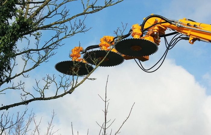 Vzdrževanje vegetacije